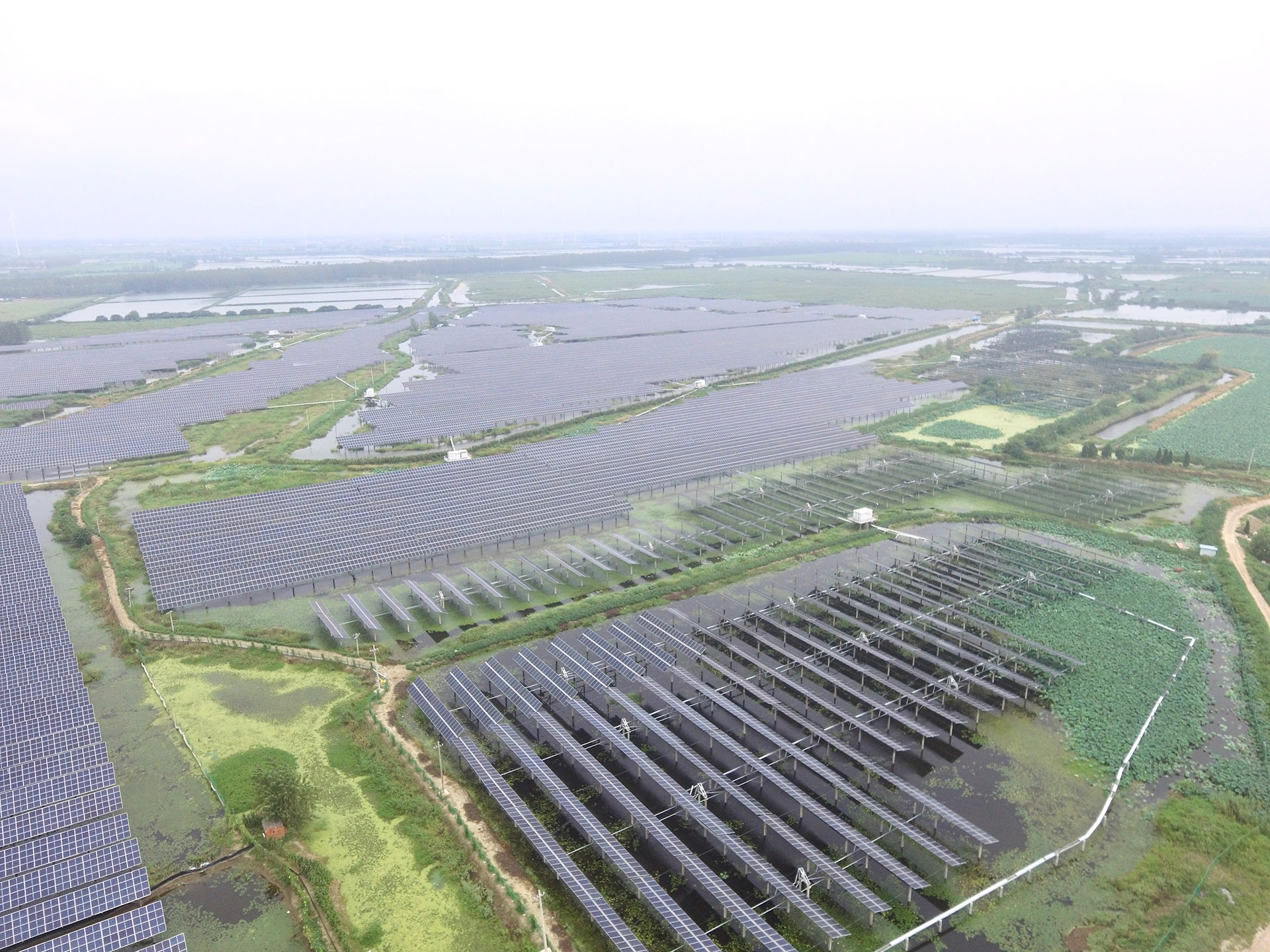 多宝电竞科技江苏扬州宝应光伏发电应用领跑基地2号100兆瓦项目